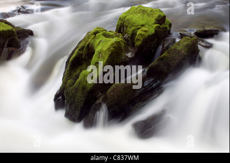 Wasserfall Fluss Marteg Sssi Gilfach Bauernhof Natur reservieren Radnorshire Wildlife Trust Wales UK Stockfoto