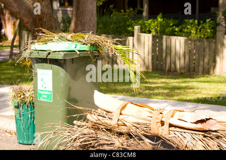 Grüne Gartenabfälle warten auf die sammlung des rates zum Recycling,Avalon,Sydney,Australien Stockfoto