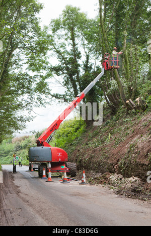 Ein Baumchirurg, der in Irthington, Cumbria, Großbritannien, Bäume über einen Kirschpflücker in einer tiefen schmalen Gasse fällte Stockfoto