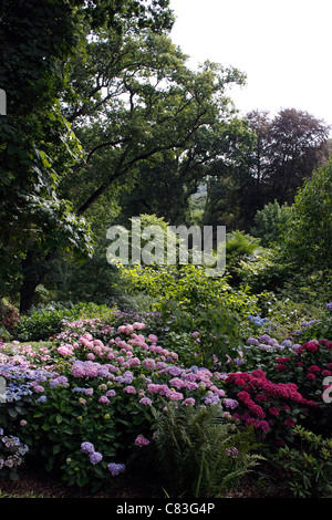 BUNTE WÄLDER IN ABBOTSBURY SUBTROPISCHE GÄRTEN. DORSET UK. Stockfoto