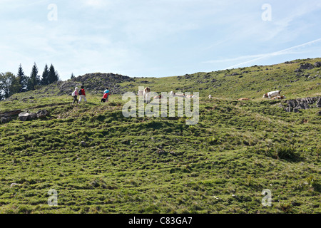 Wanderer auf alpiner Steig, Taubensee Alpen Chiemgau Upper Bavaria Germany Stockfoto