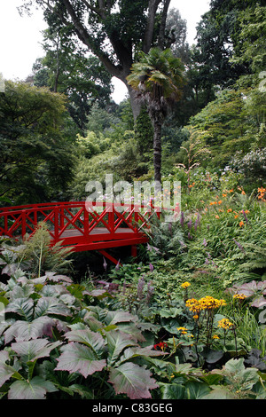 DIE SUBTROPISCHEN GÄRTEN VON ABBOTSBURY IN DER GRAFSCHAFT DORSET. VEREINIGTES KÖNIGREICH. Stockfoto