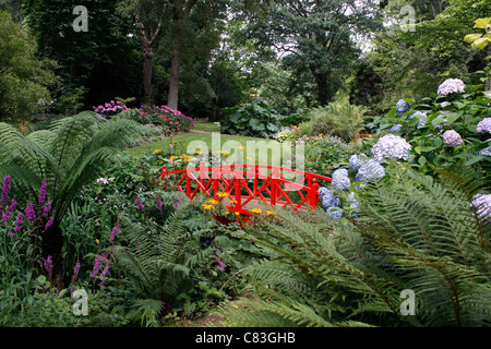 DIE SUBTROPISCHEN GÄRTEN VON ABBOTSBURY IN DER GRAFSCHAFT DORSET. VEREINIGTES KÖNIGREICH. Stockfoto