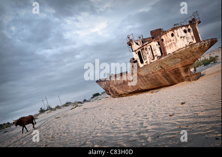 Moynaq, Usbekistan. 2011. Boot in der Wüste. Stockfoto