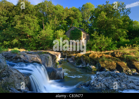 Cenarth Wasserfälle Carmarthenshire Wales Stockfoto