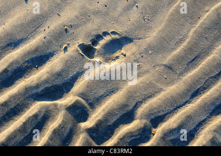 Eindruck von einer barfuß im nassen Sand auf West Wittering Strand bei Ebbe. Stockfoto