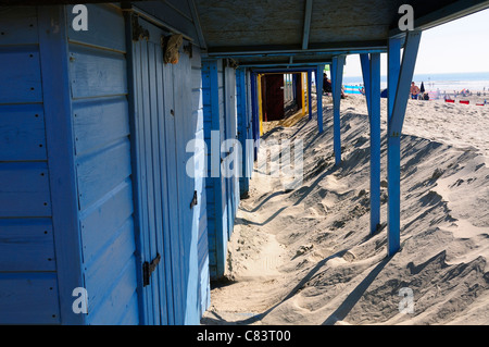 Einige der West Wittering 156 verwitterte Strand Hütten zeigt den Eingriff "verschieben" Sanddünen, die bedrohen, sie zu begraben Stockfoto