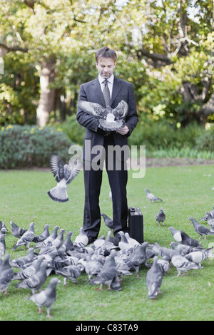 Geschäftsmann füttern Tauben im park Stockfoto