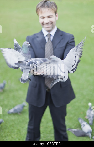 Geschäftsmann füttern Tauben im park Stockfoto