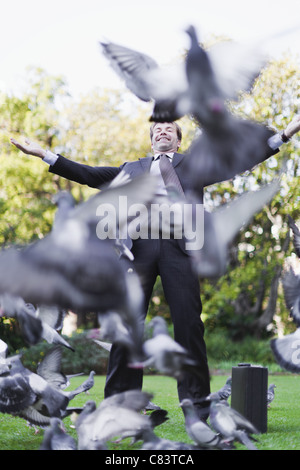 Geschäftsmann füttern Tauben im park Stockfoto