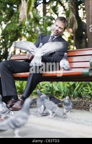 Geschäftsmann füttern Tauben im park Stockfoto