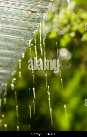 Regen tropft von Terrasse Dachkante. Flachen DOF. Stockfoto