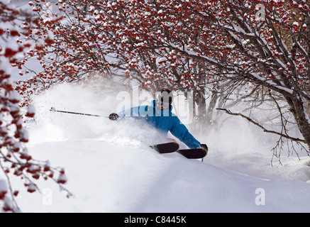 Land Skifahrer im verschneiten Gelände überqueren Stockfoto