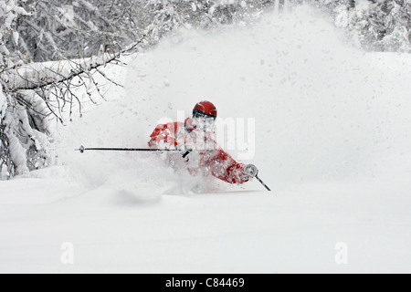 Land Skifahrer im verschneiten Gelände überqueren Stockfoto