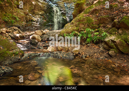 Schöne Aussicht auf Upper Falls befindet sich in Uvas Canyon County Park. Stockfoto