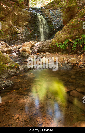 Schöne Aussicht auf Upper Falls befindet sich in Uvas Canyon County Park. Stockfoto