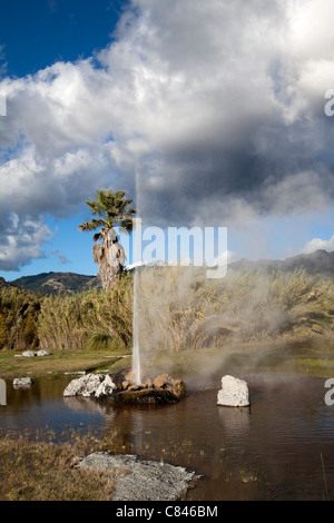 Einen natürlichen Geysir schießen Wasser aus dem Boden und in der Luft Stockfoto