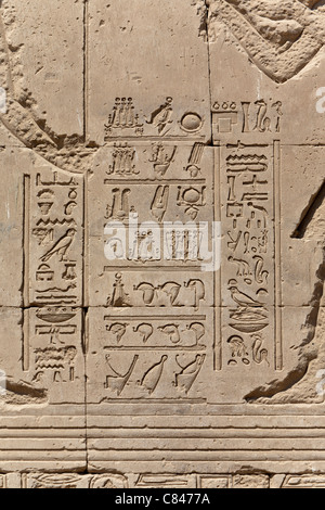 Detail von Dendera Tempel zeigt das Krone-Liste-relief Stockfoto