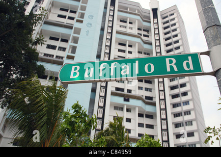 Hohe, Aufstieg, Apartments, auf, Büffel, Road, Little, Indien, Singapur Stockfoto