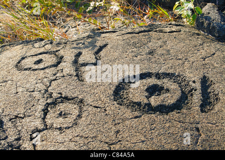 Petroglyph, Mauna Loa Petroglyph Trail Stockfoto