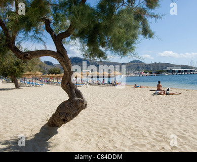 Mallorca, Port de Pollenca, Strand Stockfoto