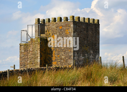 Jubillee Turm, Westfield House Farm, Abbeystead Fell, Lancashire, England, Vereinigtes Königreich, Europa. Stockfoto
