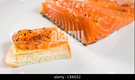 Sandwich mit Lachs auf einem weißen Teller. Stockfoto