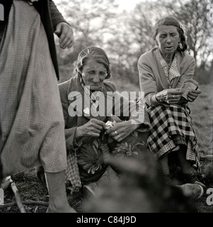 Zigeuner Leben in Kent im Jahre 1961 Stockfoto