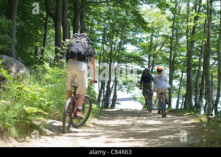 Radfahrer, Reiten durch Wälder, Rückansicht Stockfoto