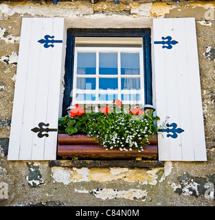 Schiebefenster in einem kornischen Cottage mit künstlichen hölzernen Fensterläden und Blumenkasten voll von bunten Blumen Stockfoto