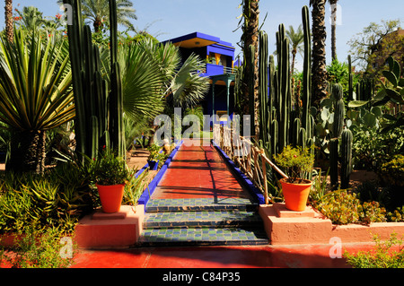 Jardin Majorelle, Marrakesch, Marokko Stockfoto