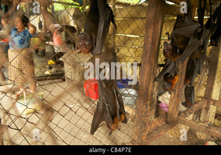 Fledermäuse zum Verkauf am Straßenstand, Teil des Buschfleischhandels, mit dem Risiko, dass Menschen- und Tierkrankheiten übergehen. Stockfoto