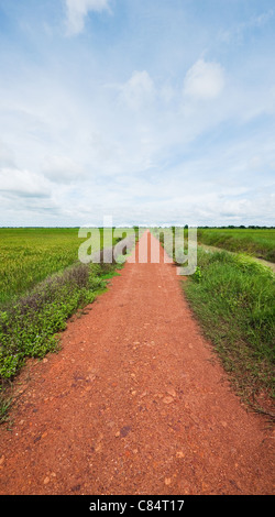 Feldweg durch die Reisfelder in Sisophon, Kambodscha Stockfoto