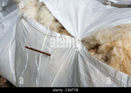 Eine moderne Polypropylen Woolsack wird zugenäht während Schafschur auf einem Exmoor-Farm in Cloutsham, Somerset Stockfoto