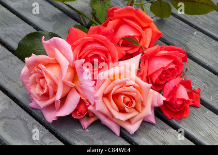 ROT UND ROSA SCHNEIDEN ROSEN AUF HÖLZERNEN LATTENROST GARTENTISCH Stockfoto