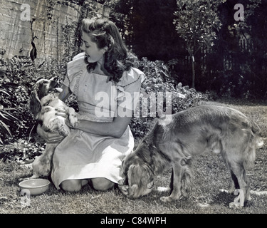 ESTHER WILLIAMS US Film-Schauspielerin und ehemalige Swimming Champion im Jahre 1941 mit ihrem Cocker Spaniel Cebo und Angie Stockfoto