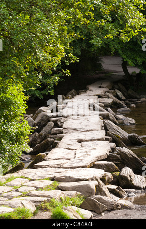 Die prähistorische Klappbrücke über den Fluss Barle bei Tarr Steps, Exmoor, Somerset UK Stockfoto