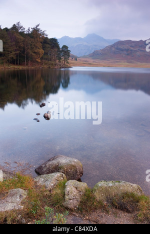 Eine herbstliche Ansicht von Langdale Pikes, Blea Tarn in den Lake District National Park im Morgengrauen entnommen. Stockfoto