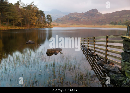 Eine herbstliche Ansicht von Langdale Pikes, Blea Tarn in den Lake District National Park im Morgengrauen entnommen. Stockfoto