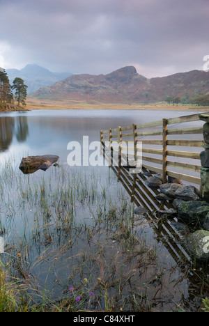 Eine herbstliche Ansicht von Langdale Pikes, Blea Tarn in den Lake District National Park im Morgengrauen entnommen. Stockfoto