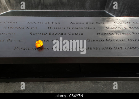 Einzelne Blume auf der Liste der Namen - 9/11 Memorial - New York City Stockfoto