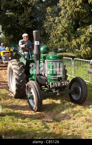 Oldtimer-Traktor auf dem Display an der Alresford Show 2011, Hampshire, England. Stockfoto