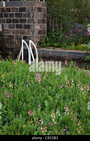 Die HESCO Garten 2010 - ausgestellt von Leeds City Council. Designer Leeds City Council. Chelsea 2010 Gold Medal Winner Stockfoto