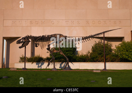 "Big Mike" vor dem Museum of the Rockies in Bozeman, Montana ist berühmt für seine Fossilien von Dinosauriern und Naturgeschichte. Stockfoto