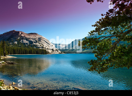 Yosemite-Nationalpark Yoh-sem-It-Ee) ist eine Vereinigte Staaten Nationalpark umfasst die östlichen Teile des Tuolumne, Mariposa. Stockfoto