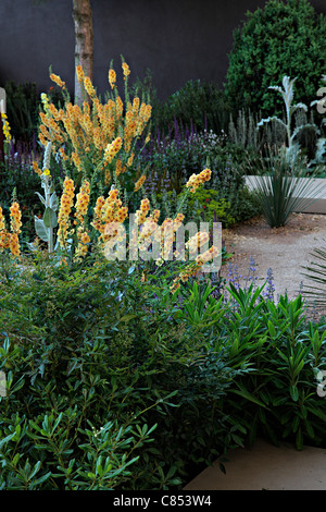 Der Daily Telegraph Garten - ausgestellt von The Daily Telegraph vom. Designer Andy Sturgeon. Chelsea-2010 Stockfoto