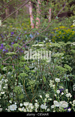 Laurent-Perrier-Garten, entworfen von Tom Stuart-Smith. Chelsea 2010 Gold Medal Winner Stockfoto