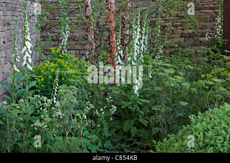 Laurent-Perrier-Garten, entworfen von Tom Stuart-Smith. Chelsea 2010 Gold Medal Winner Stockfoto