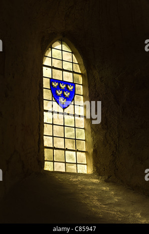 Blaue Wappen in Glasmalerei-Fenster auf Hof sichern Stockfoto