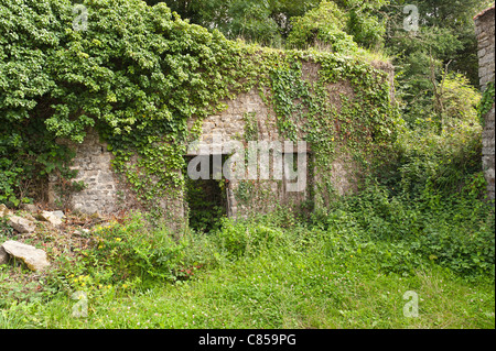 Surtainville verwüstete und verlassenen Hof mit Efeu und Gestrüpp überwuchert Stockfoto